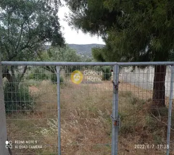 Οικιστικό 1248τ.μ. προς πώληση φωτογραφία 2