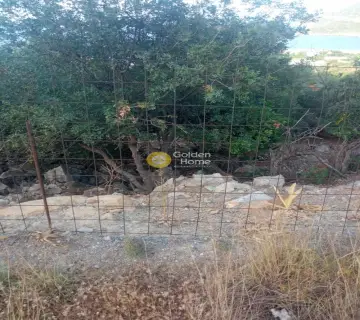 Professional Plot 15254m<sup>2</sup> for sale photo 7