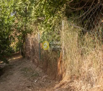 Residential 1170m<sup>2</sup> for sale photo 3