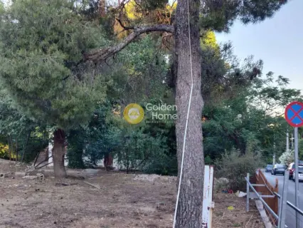 Professional Plot 1000m<sup>2</sup> for sale photo 3