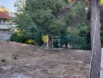 Professional Plot 1000m<sup>2</sup> for sale photo 4