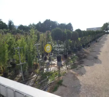 Αγροτεμάχιο 4500τ.μ. προς πώληση φωτογραφία 3184040