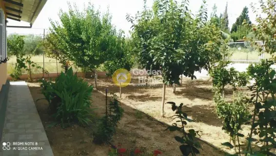Μονοκατοικία 60τ.μ. προς πώληση φωτογραφία 17