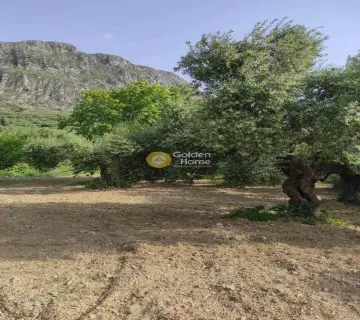 Residential 2024m<sup>2</sup> for sale photo 3195546