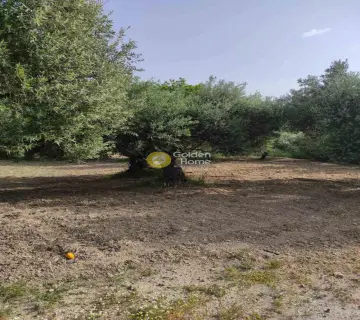Residential 2024m<sup>2</sup> for sale photo 3195555