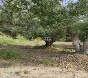 Residential 2024m<sup>2</sup> for sale photo 3195556