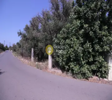 Residential 5000m<sup>2</sup> for sale photo 1