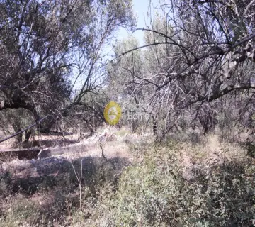 Residential 5000m<sup>2</sup> for sale photo 5