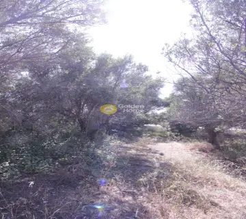 Residential 5000m<sup>2</sup> for sale photo 8