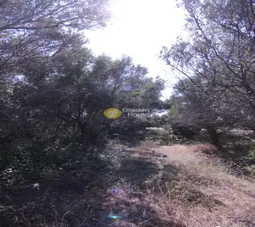 Residential 5000m<sup>2</sup> for sale photo 9