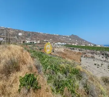 Residential 4010m<sup>2</sup> for sale photo 17