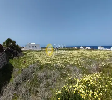 Residential 6960m<sup>2</sup> for sale photo 3190683