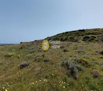 Residential 4352m<sup>2</sup> for sale photo 8