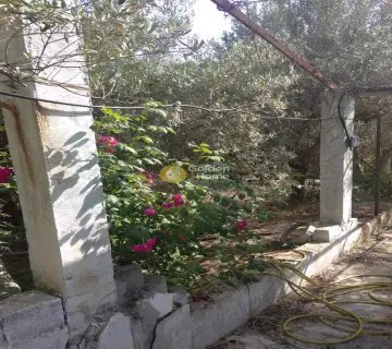 Residential 820m<sup>2</sup> for sale photo 4