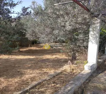 Residential 820m<sup>2</sup> for sale photo 15
