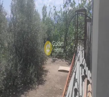 Αγροτεμάχιο 3534τ.μ. προς πώληση φωτογραφία 3196645