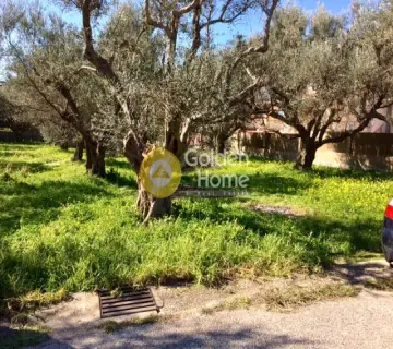 住宅 1100m<sup>2</sup> for sale photo 3514352