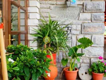 Golden Home Property Image