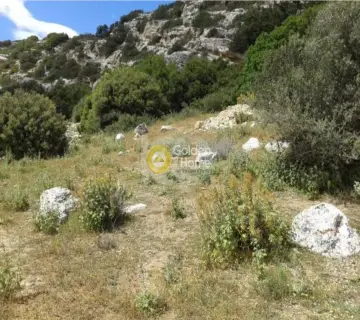 Residential 4295m<sup>2</sup> for sale photo 3200545