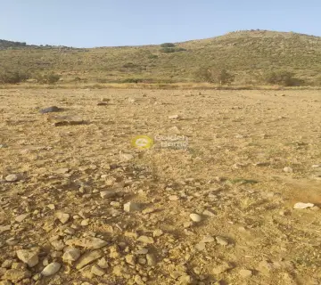 Residential 28000m<sup>2</sup> for sale photo 3