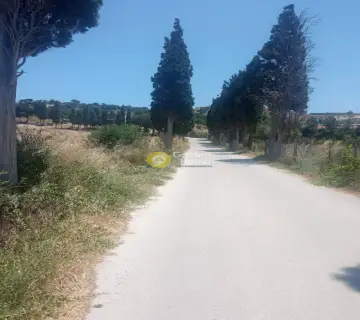 Επαγγελ. Οικόπεδο 40000τ.μ. προς πώληση φωτογραφία 3201909