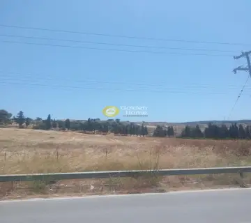 Επαγγελ. Οικόπεδο 40000τ.μ. προς πώληση φωτογραφία 3201910