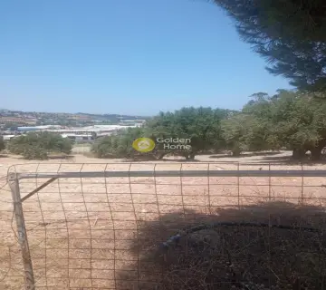 Επαγγελ. Οικόπεδο 40000τ.μ. προς πώληση φωτογραφία 3201911
