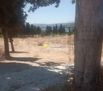 Επαγγελ. Οικόπεδο 40000τ.μ. προς πώληση φωτογραφία 3201912