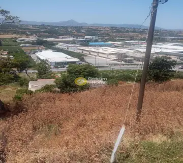 Επαγγελ. Οικόπεδο 40000τ.μ. προς πώληση φωτογραφία 3201914