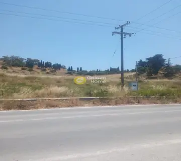 Επαγγελ. Οικόπεδο 40000τ.μ. προς πώληση φωτογραφία 3201919