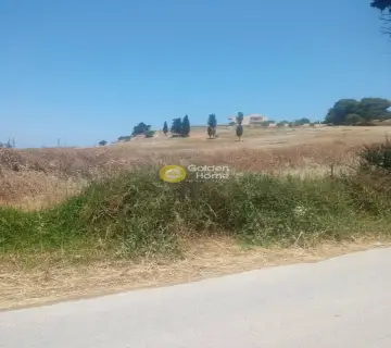 Επαγγελ. Οικόπεδο 40000τ.μ. προς πώληση φωτογραφία 3201920