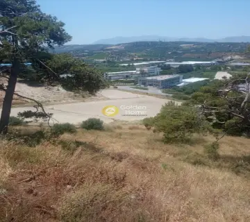Επαγγελ. Οικόπεδο 40000τ.μ. προς πώληση φωτογραφία 3201921