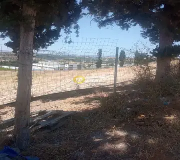 Επαγγελ. Οικόπεδο 40000τ.μ. προς πώληση φωτογραφία 3201922