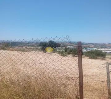 Επαγγελ. Οικόπεδο 40000τ.μ. προς πώληση φωτογραφία 3201923