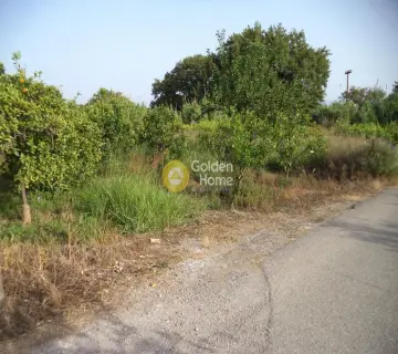 Residential 1085m<sup>2</sup> for sale photo 3203846
