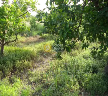 Residential 1085m<sup>2</sup> for sale photo 3203848