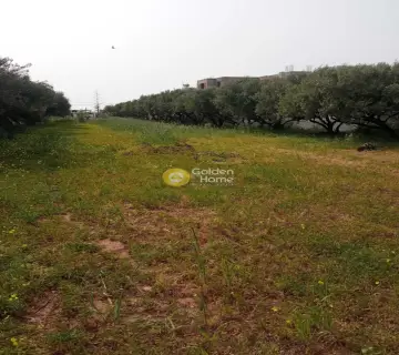 Residential 1432m<sup>2</sup> for sale photo 8