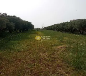 Residential 1432m<sup>2</sup> for sale photo 11