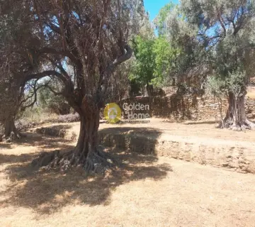 Οικιστικό 1650τ.μ. προς πώληση φωτογραφία 3215155