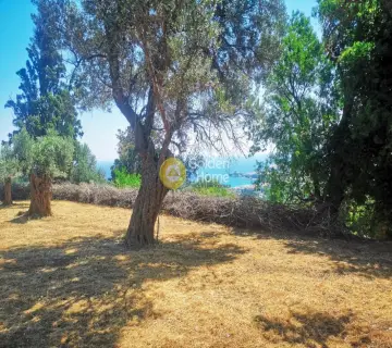 Οικιστικό 1650τ.μ. προς πώληση φωτογραφία 3215154