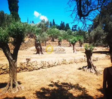 Οικιστικό 1650τ.μ. προς πώληση φωτογραφία 3215157