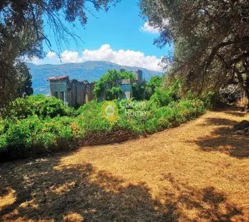 Οικιστικό 1650τ.μ. προς πώληση φωτογραφία 3215151