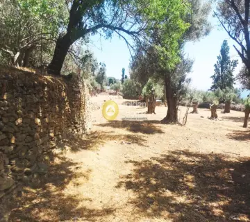 Οικιστικό 1650τ.μ. προς πώληση φωτογραφία 3215153