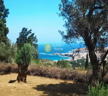 Οικιστικό 1650τ.μ. προς πώληση φωτογραφία 3215149