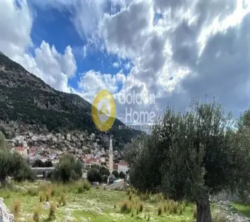 Αγροτεμάχιο 1633τ.μ. προς πώληση φωτογραφία 5