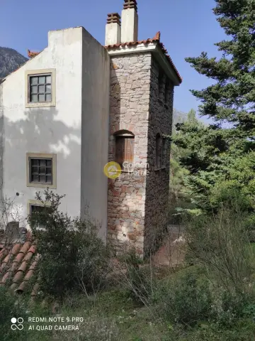 独立复式小屋 281m<sup>2</sup> for sale photo 3