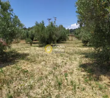 Οικιστικό 1439τ.μ. προς πώληση φωτογραφία 3246688