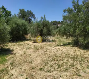Οικιστικό 1439τ.μ. προς πώληση φωτογραφία 3246698