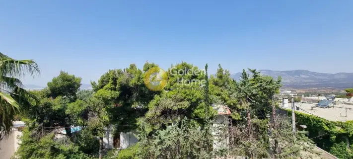 Μεζονέτα Εφαπτόμενη 500τ.μ. προς ενοικίαση φωτογραφία 34