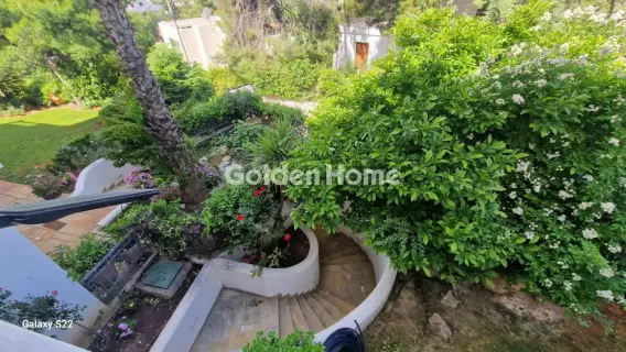 Μεζονέτα Εφαπτόμενη 500τ.μ. προς ενοικίαση φωτογραφία 60